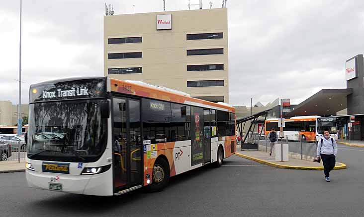 Ventura Scania K310UB Volgren Optimus 1437